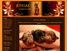 Tablet Screenshot of jongal.cz